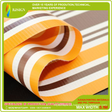 Good Sales Laminated PVC Strip Tarpaulin